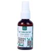 Tinh dầu xịt thơm Bạc Hà HAEVA - Peppermint 50ml